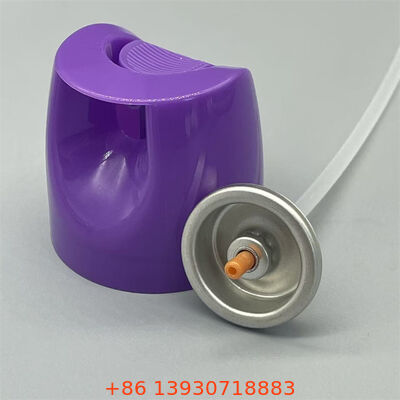 Valvola insetticida a base d'acqua in aerosol con controllo di precisione e sigillo a prova di perdite per formulazioni sicure per animali domestici