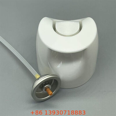 Valvola aerosol di insetticidi non coloranti a base d'acqua con controllo di precisione per prodotti di controllo dei parassiti