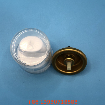 Stile flessibile di presa dei capelli Mousse Spray Valve con versatilità