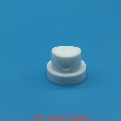 Dispenser di spray per il viso professionale - Applicazione versatile per gli appassionati di cura della pelle