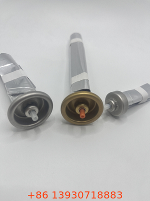 Premium Bag on Valve Spray per giardinieri con distribuzione precisa