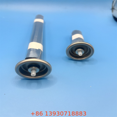 Aerosol Bag on Valve ecologico e incentrato sull'utente per prodotti chimici per la casa e speciali con design a prova di perdite