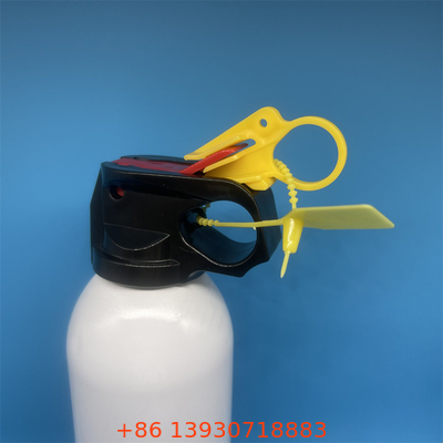 Fittings di valvole per estintori in ottone - Componenti durevoli e versatili del sistema di soppressione del fuoco - filo NPT