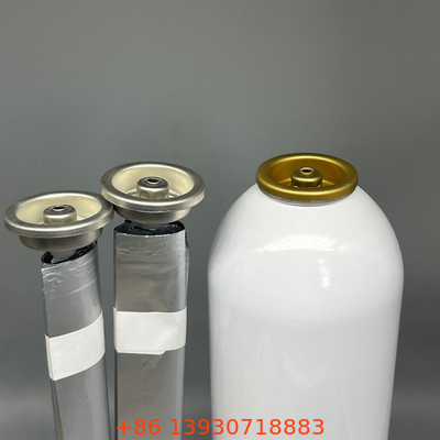 Borsa femminile resistente con valvola per prodotti aerosol con distribuzione di precisione