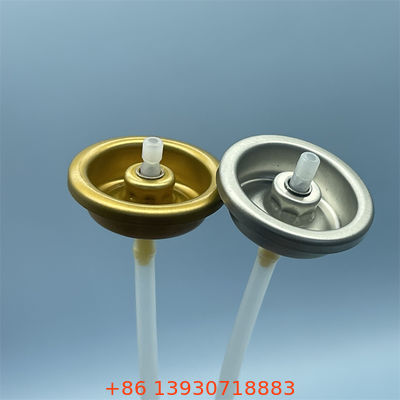 Notte Riparazione valvola spruzzo corpo per le routine di cura della pelle serale con spruzzo silenzioso e produzione di nebbia nutriente