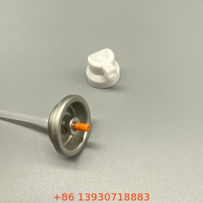 Valvola spray aerosol per shampoo secco progettata per l'erogazione di particelle fini