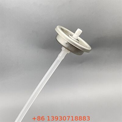 Valvola di pulizia del carburatore multiuso non tossica resistente alla corrosione per applicazioni industriali e automobilistiche