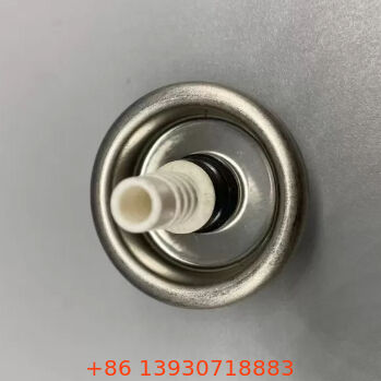 Valvola Aerosol in Schiuma PU da 1 pollice ad alta pressione con tubo di immersione esteso per erogazione pressurizzata