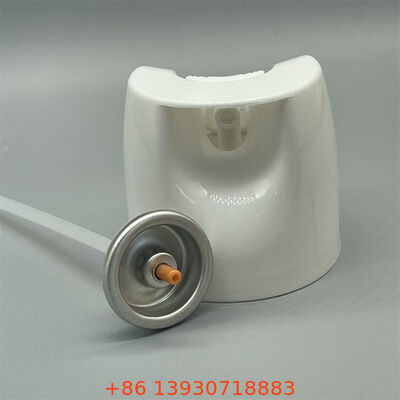 Valvola insetticida a base d'acqua in aerosol con controllo di precisione e sigillo a prova di perdite per formulazioni sicure per animali domestici