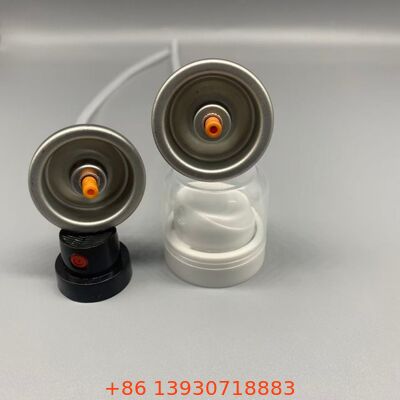 Valvola aerosol per shampoo secco per copertura invisibile e capelli freschi tra un lavaggio e l'altro