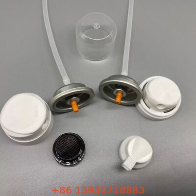 Valvola aerosol per shampoo secco per copertura invisibile e capelli freschi tra un lavaggio e l'altro