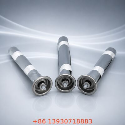 Professionale in acciaio inossidabile maschio sacchetto-su-valvola con design di connessione rapida per applicazioni aerosol di un pollice