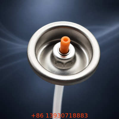 Valvola aerosol maschio e valvola spray maschio coordinata su misura con prestazioni di tenuta elevate e opzioni di finitura metallizzata lucida opaca