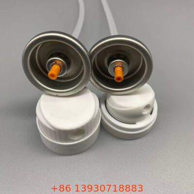 Valvola aerosol per shampoo secco per ripristino istantaneo del volume e assorbimento dell'olio