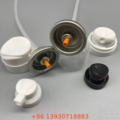 Valvola aerosol per shampoo secco per copertura invisibile e capelli freschi tra un lavaggio e l'altro