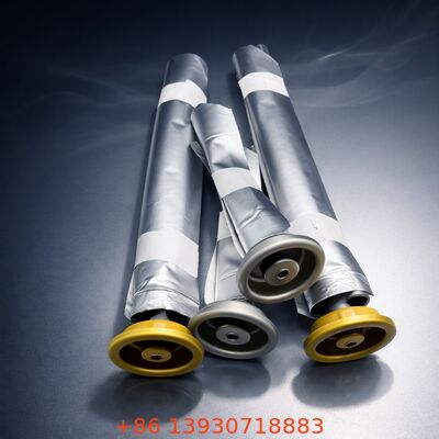 Advanced Female Aerosol Bag-on-Valve con imballaggio ecologico, dimensione di un pollice, e materiale di latta