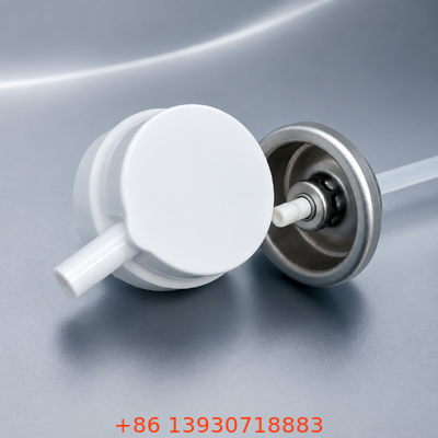Valvola aerosol detergente per carburatore per spray per la pulizia del motore automobilistico
